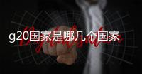 g20國(guó)家是哪幾個(gè)國(guó)家（g20是哪20個(gè)國(guó)家）