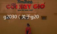g2030（關于g2030的基本情況說明介紹）