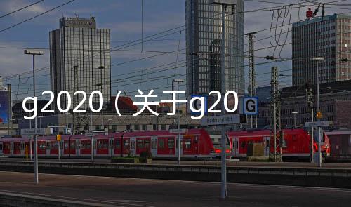 g2020（關于g2020的基本情況說明介紹）