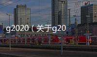 g2020（關于g2020的基本情況說明介紹）