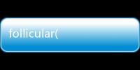 follicular(關于follicular簡述)