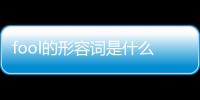 fool的形容詞是什么（fool的形容詞）