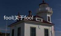 fool(關于fool簡述)