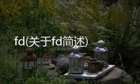fd(關于fd簡述)