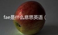 fae是什么意思英語(yǔ)（fae是什么意思）