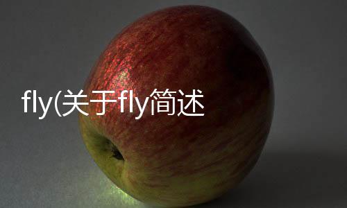 fly(關(guān)于fly簡述)