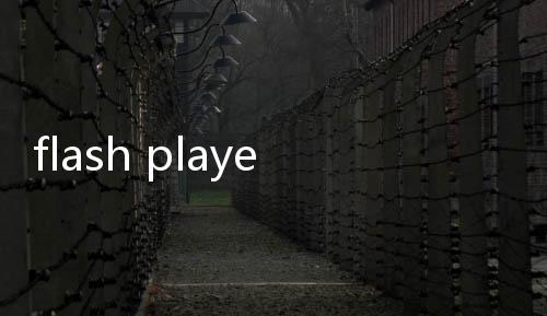 flash player（關(guān)于flash player的基本情況說明介紹）