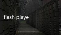 flash player（關(guān)于flash player的基本情況說明介紹）