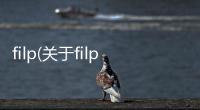 filp(關于filp簡述)