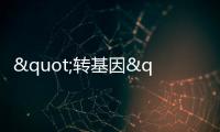 "轉基因"中餐在德國 免不了"入鄉隨俗"
