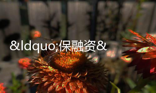“保融資”組合拳密集出擊,地產股一度上演漲停潮