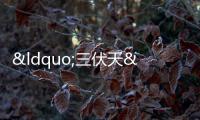 “三伏天”綠化養(yǎng)護(hù)忙