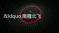 “南雁北飛”59億補(bǔ)倉(cāng) 越秀“雙殺”震帝都