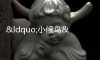 “小候鳥”家庭體驗警營生活