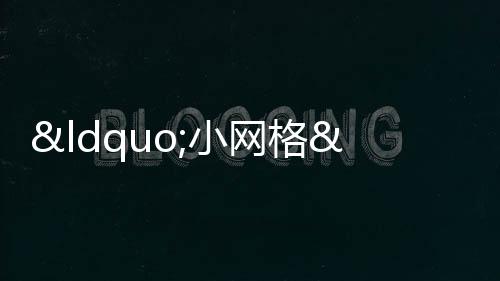“小網格”守護“大安全”