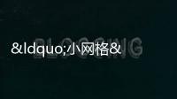 “小網(wǎng)格”守護“大安全”