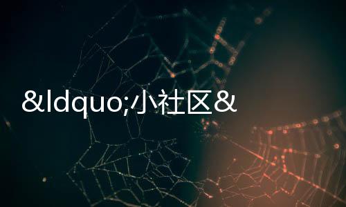 “小社區(qū)”做好“大文章” 未來(lái)之城擦亮幸福底色