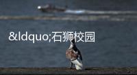 “石獅校園引才工作站”再添新成員