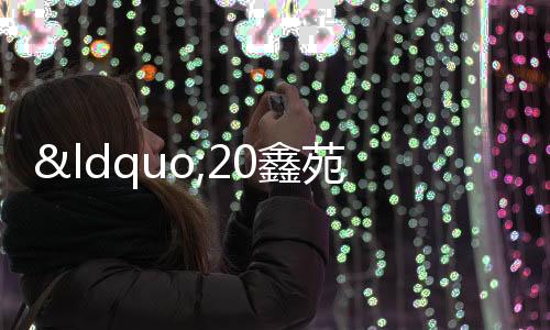 “20鑫苑01“持有人會議通過調整利息兌付安排等議案