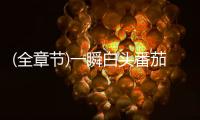 (全章節(jié))一瞬白頭番茄