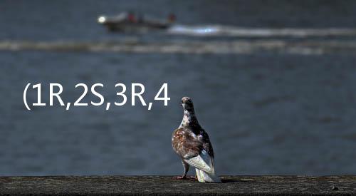 (1R,2S,3R,4R)