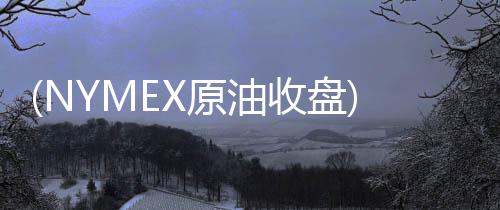 (NYMEX原油收盤)市場對迪拜危機擔(dān)憂暫緩，NYMEX原油期貨周一收陽