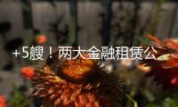 +5艘！兩大金融租賃公司頻造新船，船舶租賃市場趨勢如何？
