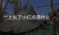 **上長(zhǎng)了小紅點(diǎn)是什么情況(**上起小紅點(diǎn)怎么回事)
