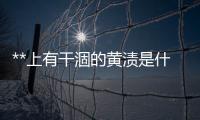 **上有干涸的黃漬是什么病(白帶有點(diǎn)黃又干怎么回事)