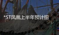 *ST鳳凰上半年預計扭虧
