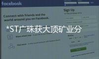 *ST廣珠獲大頂礦業分紅2.98億元