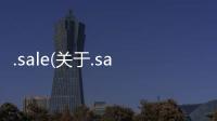 .sale(關于.sale簡述)