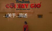 ...(關于...簡述)