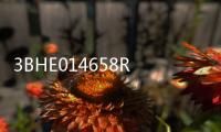 3BHE014658R0001