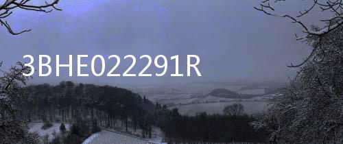 3BHE022291R0101