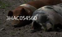 3HAC054560