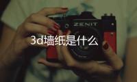 3d墻紙是什么
