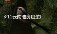3·11云南陸良包裝廠爆炸事件(關于3·11云南陸良包裝廠爆炸事件簡述)