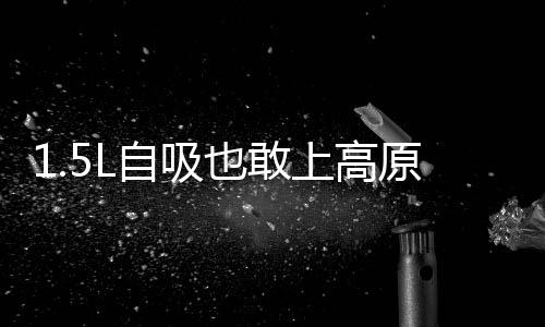 1.5L自吸也敢上高原？體驗東風(fēng)風(fēng)神AX3