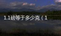 1.1磅等于多少克（1磅等于多少克）