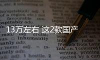13萬左右 這2款國產(chǎn)SUV配置豐富性價比合資