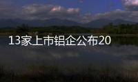 13家上市鋁企公布2024年上半年業績，11家實現盈利