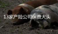 13家產(chǎn)險(xiǎn)公司保費(fèi)大頭向下