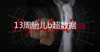 13周胎兒b超數(shù)據(jù)