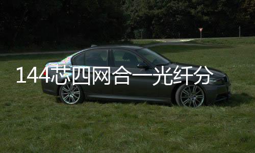 144芯四網合一光纖分線箱批發!