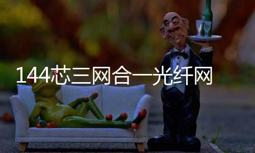 144芯三網合一光纖網絡箱共建共享