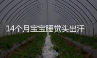 14個月寶寶睡覺頭出汗