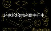 14家輪胎供應(yīng)商中標(biāo)中石油集中采購(gòu)