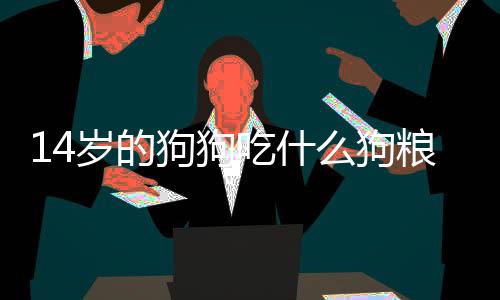 14歲的狗狗吃什么狗糧
