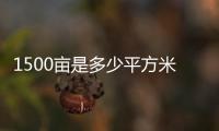 1500畝是多少平方米走完一圈要多久（1500畝是多少平方米）